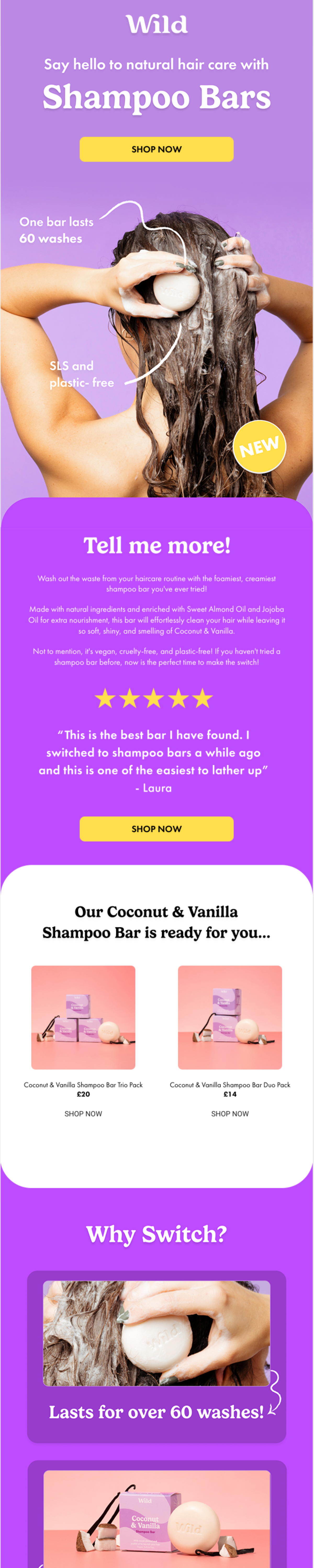 100+ EMAIL CAMPAIGN TEMPLATE DESIGNS
